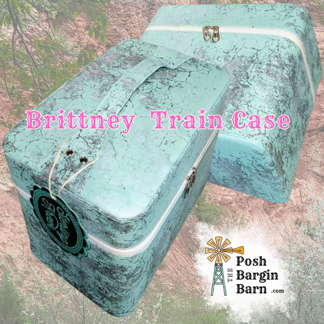 NEW Turquoise Brittney Train Case Make Up Cosmetic Organizer