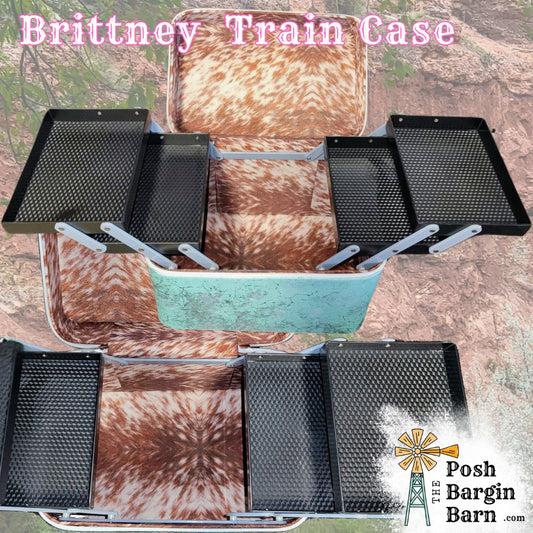 NEW Turquoise Brittney Train Case Make Up Cosmetic Organizer