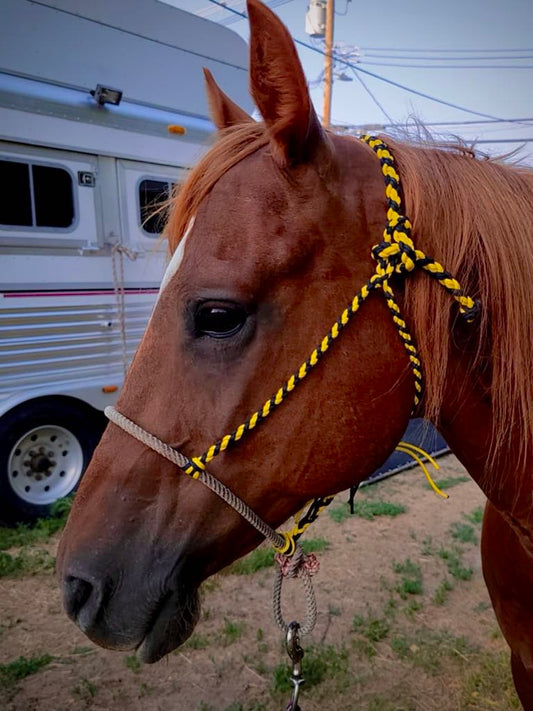 Black & Yellow Rope Nose-Band Halter