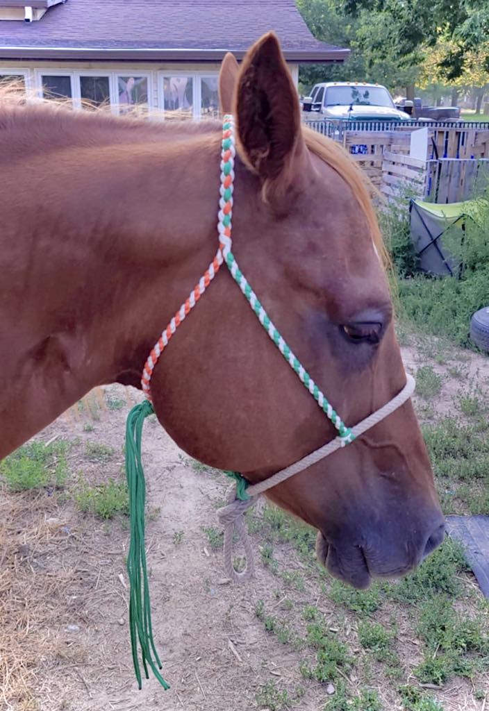 Orange & Green Rope Noseband Halter w/ Green Tassel