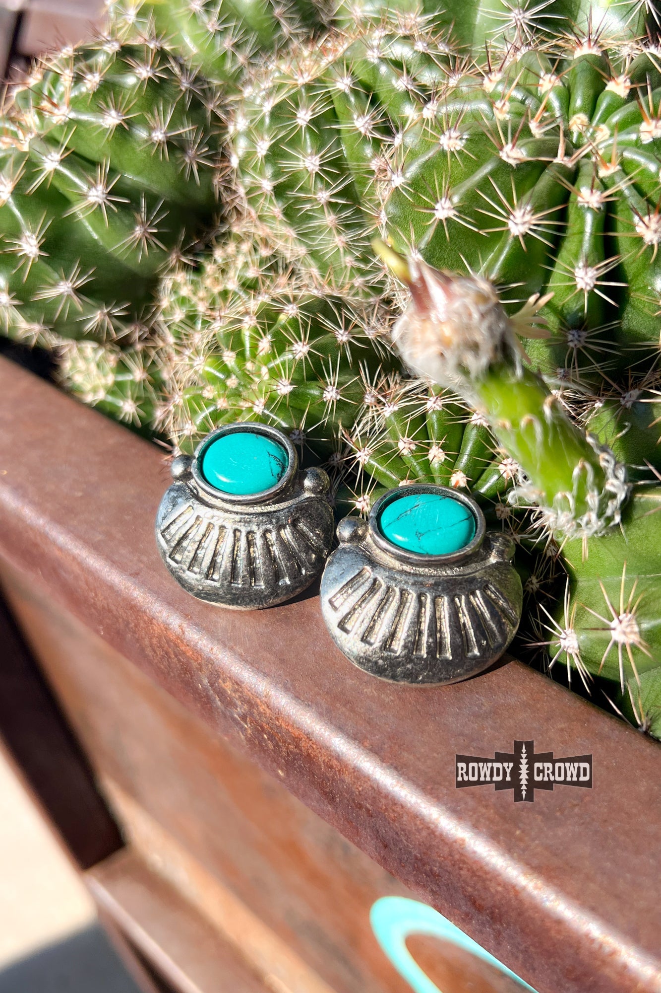 Sioux Falls Studs Turquoise Stud Earrings