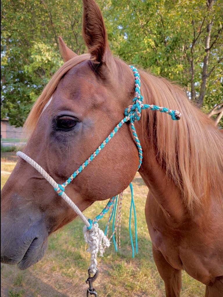 Turquoise & Multi-Color Strand Halter