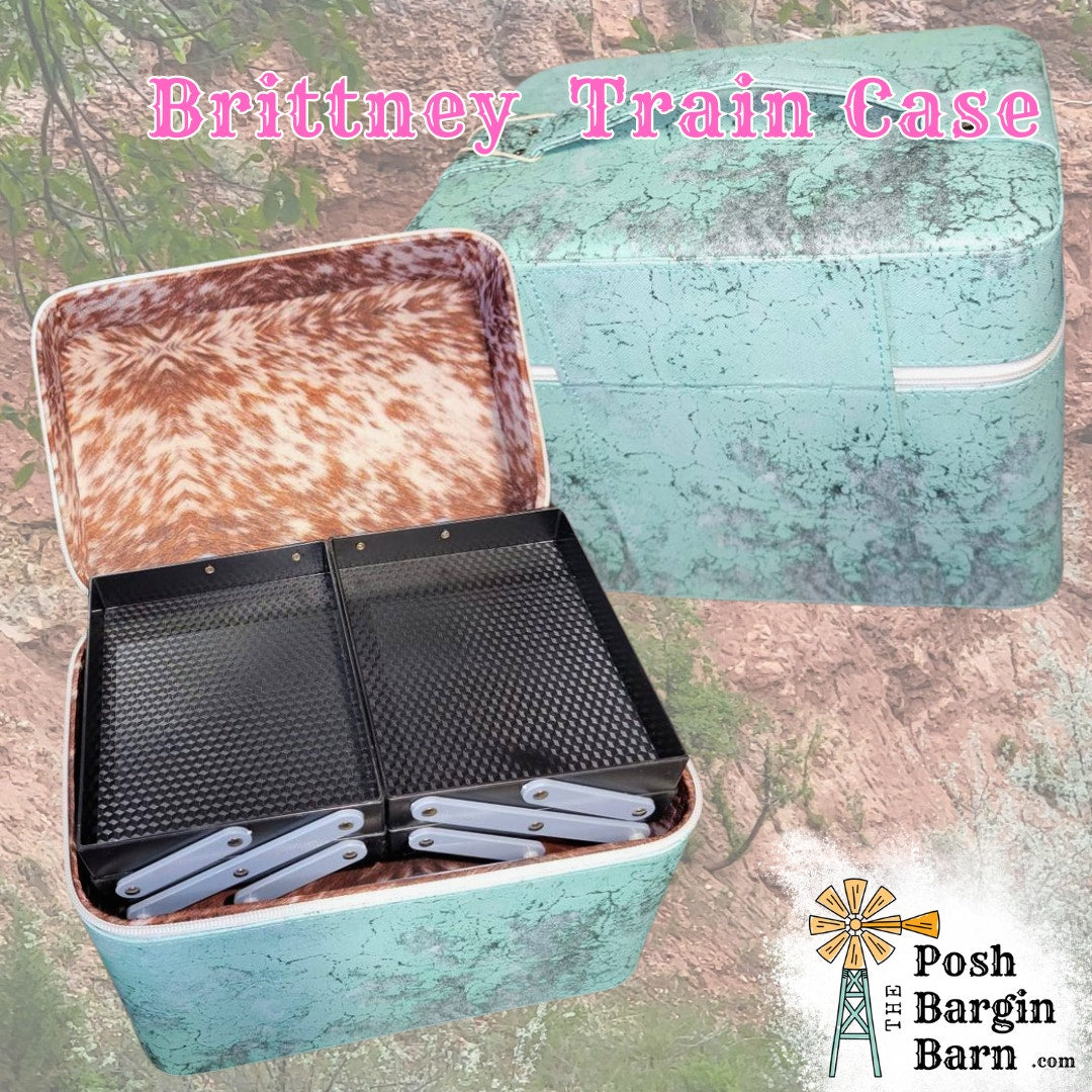 NEW Turquoise Brittney Train Case Make Up Cosmetic Organizer